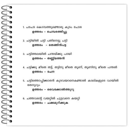 Picture of the product