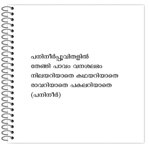 Picture of the product