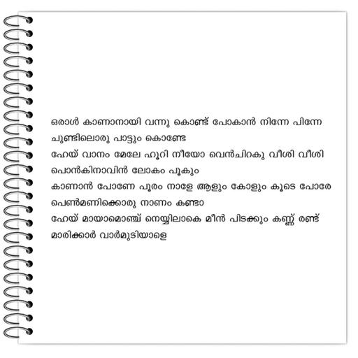 Picture of the product