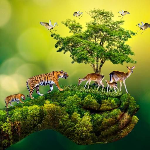 Picture of the product