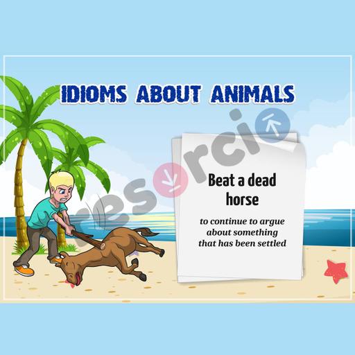 Picture of the product