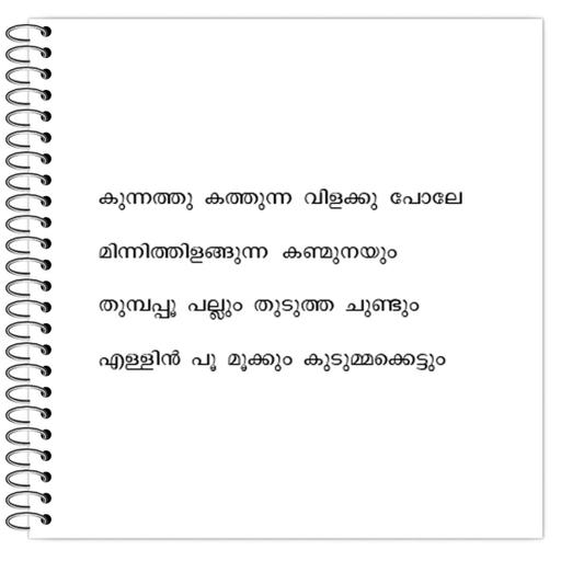 Picture of the product