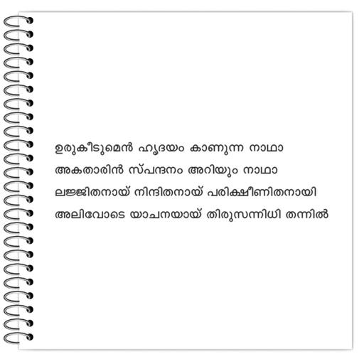 Picture of the product