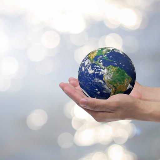 Picture of the product