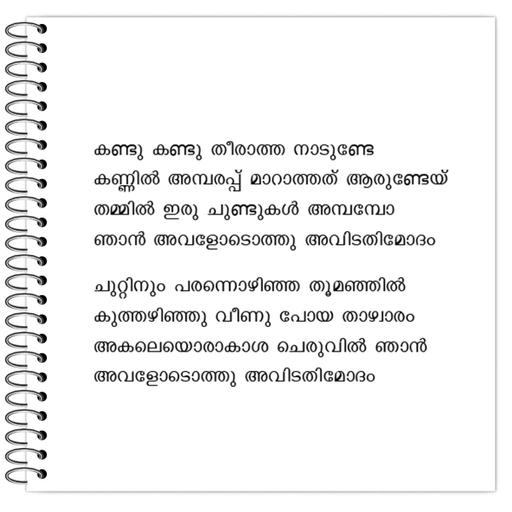 Picture of the product