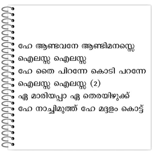 Picture of the product