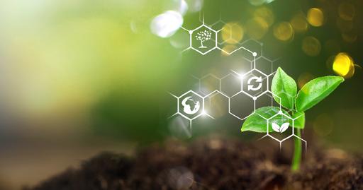 Picture of the category