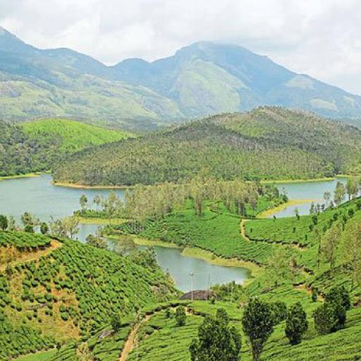 Picture of the product