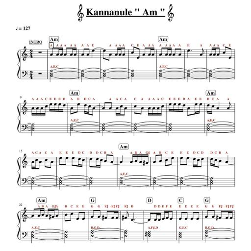 Picture of the product