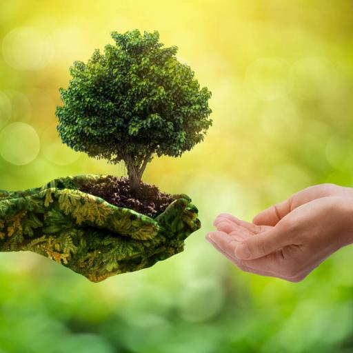 Picture of the product