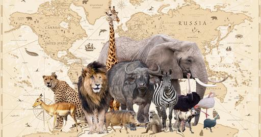 Picture of the category