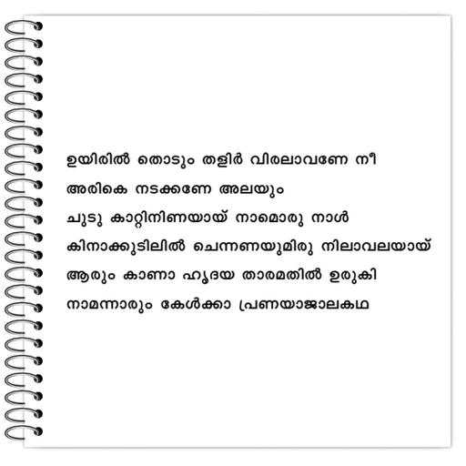 Picture of the product