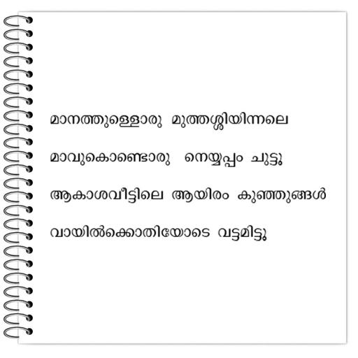 Picture of the product