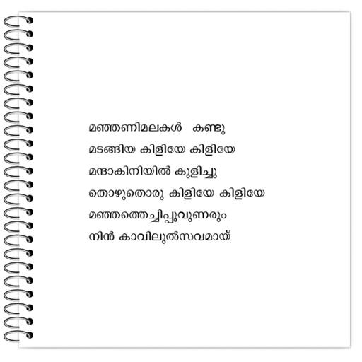 Picture of the product