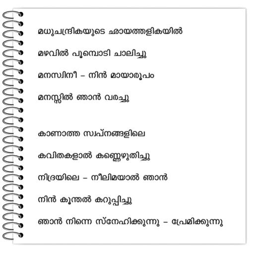 Picture of the product