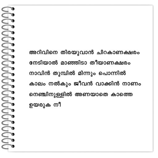 Picture of the product