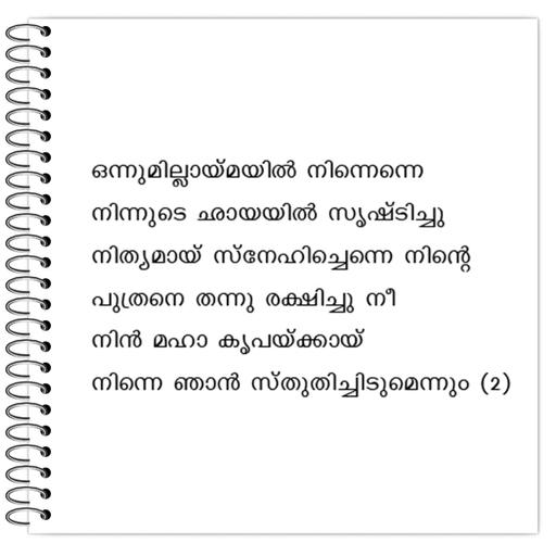 Picture of the product