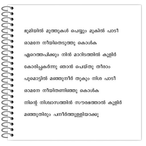 Picture of the product