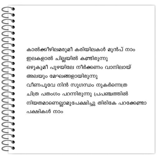 Picture of the product