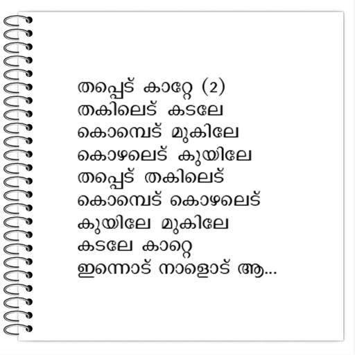 Picture of the product