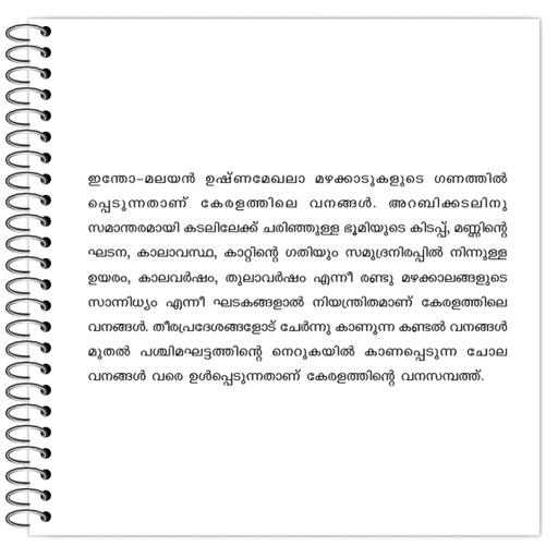 Picture of the product