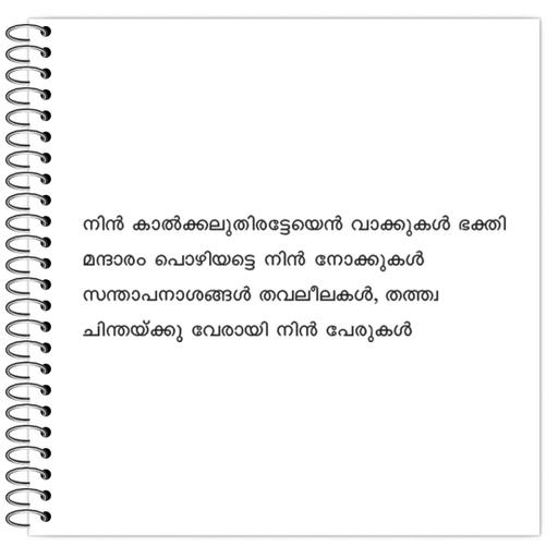 Picture of the product