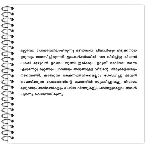 Picture of the product