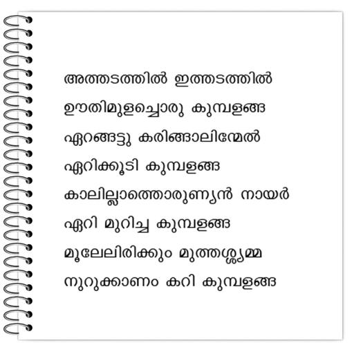 Picture of the product