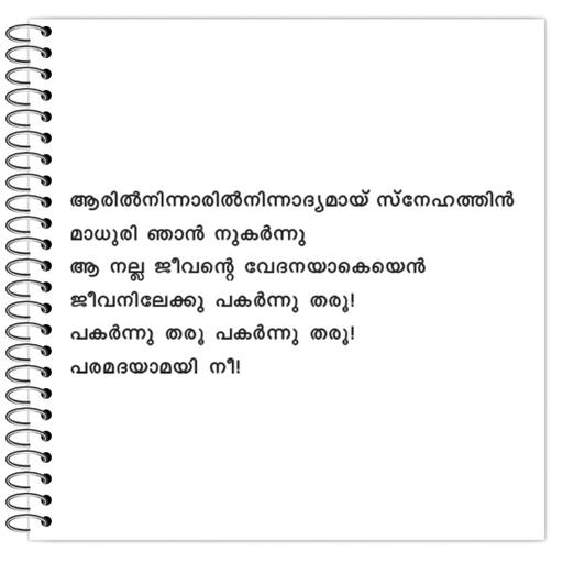 Picture of the product