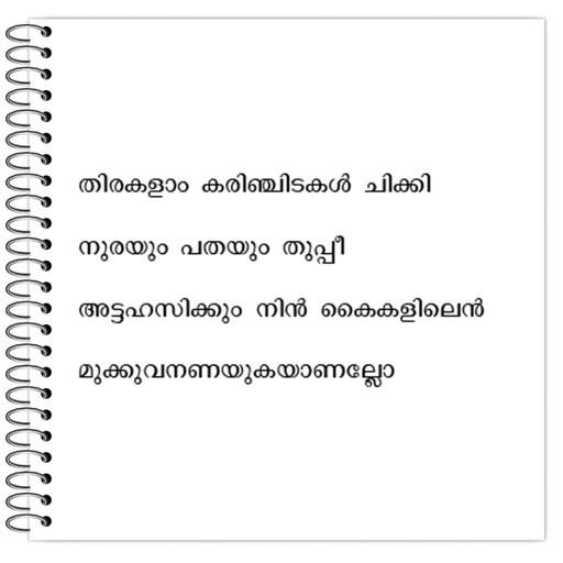 Picture of the product