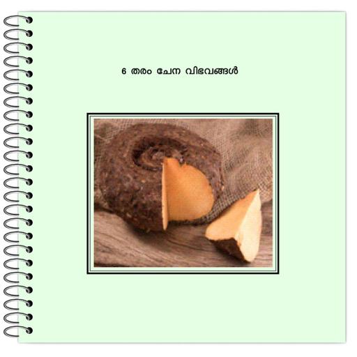 Picture of the product