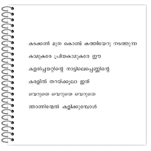 Picture of the product