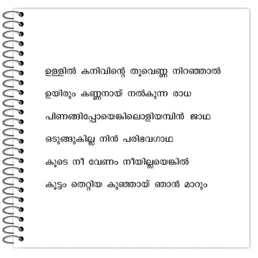 Picture of the product