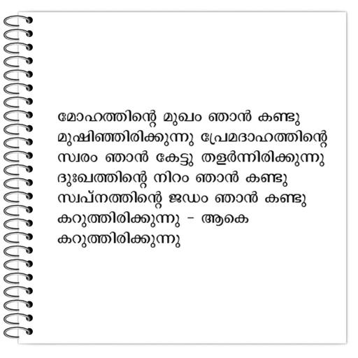 Picture of the product