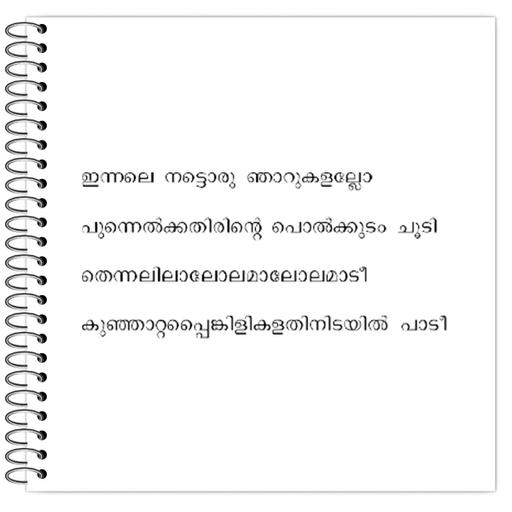 Picture of the product