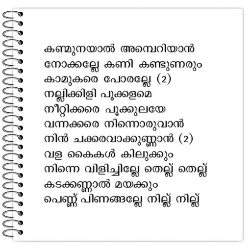 Picture of the product