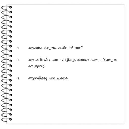 Picture of the product