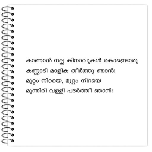 Picture of the product