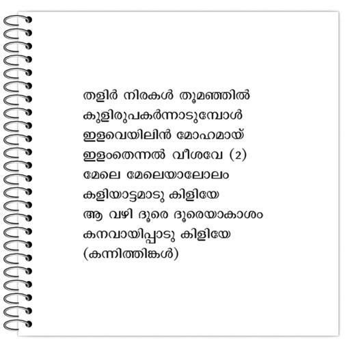 Picture of the product