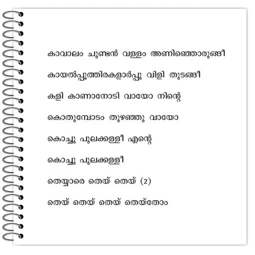 Picture of the product