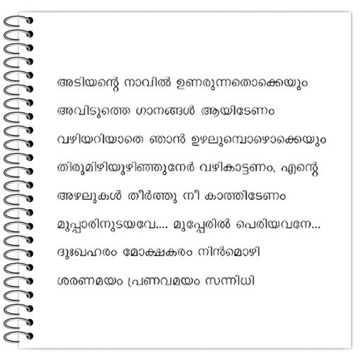 Picture of the product