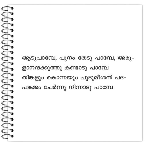 Picture of the product