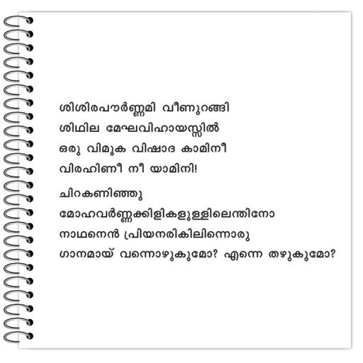 Picture of the product