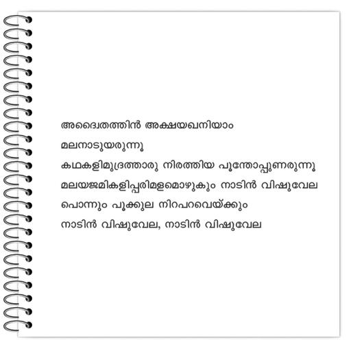 Picture of the product