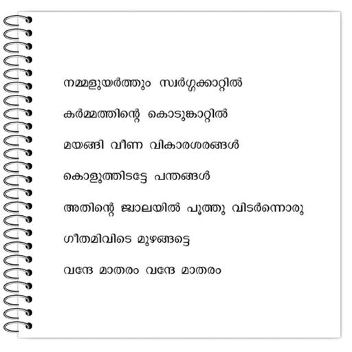 Picture of the product