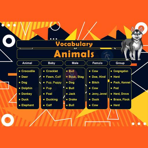 Picture of the product