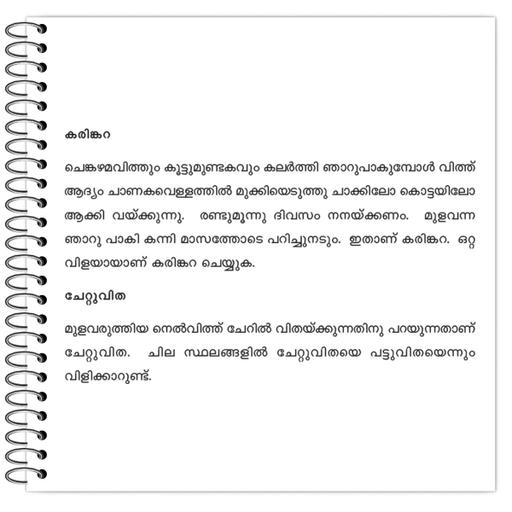 Picture of the product