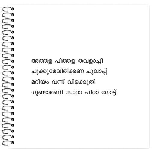 Picture of the product