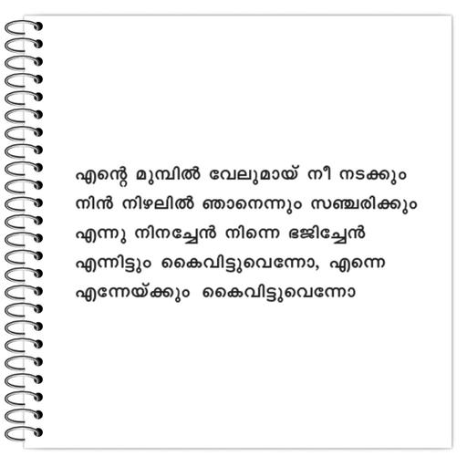 Picture of the product