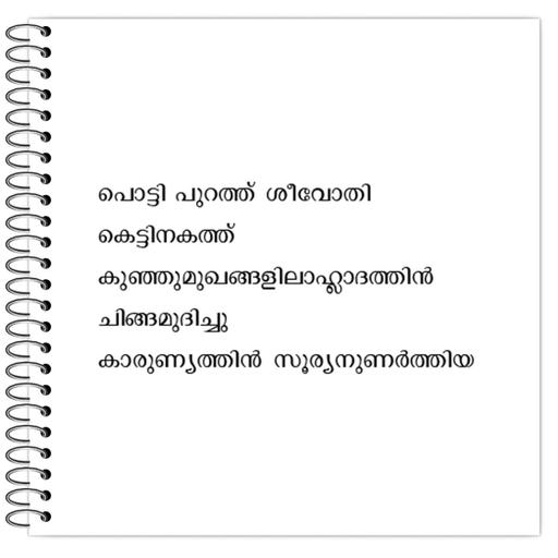 Picture of the product